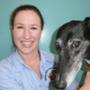 veterinary surgery Caloundra