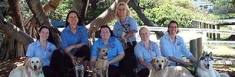 Vet Caloundra