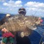 Cod