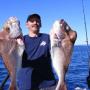 gold coast fishing Snapper