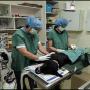 Geraldton vet