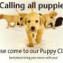 veterinarian clinic Mundaring