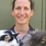 veterinary surgery Aldinga