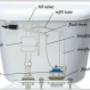 Toilet Repairs & Installations Wentworthville