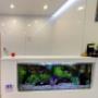Smiles Nambour Reception
