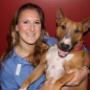 animal hospital Redland Bay