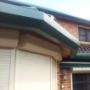gutter and gutterguard system
