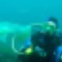 Dive Centre