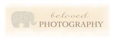 Beloved Photography