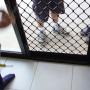 security screens