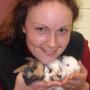 veterinary surgery