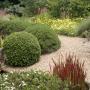 Peaceful garden