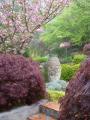 Garden Consultations