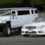 Wedding Car Specialists