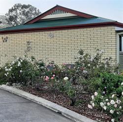 Country Rose Motel