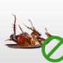 Cockroach Control