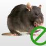 Rats/Mice Control