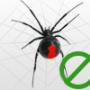 Spider Control