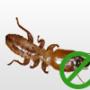 Termite control
