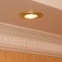 Ceiling Repair