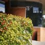 Dental Clinic Malvern East