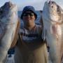 Snapper