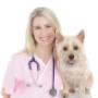 Brisbane Vet Headshot