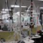 Halloween at CallActive