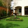 Artificial Turf - Garden