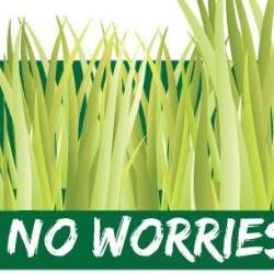 No Worries Turf