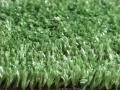 10 MM FIELD GRASS