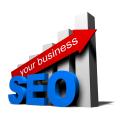 Search Engine Optimisation