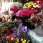Uploaded by visitor on 6/4/2017 - ASSORTED FLOWERS