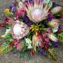 Uploaded by visitor on 6/4/2017 - KING PROTEAS