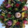 Uploaded by visitor on 1/4/2017 - NATIVE BUNCHES