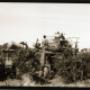 Grape Machine Harvester