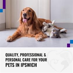Ipswich Family Veterinary Clinic