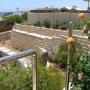 Fencing, walls, paving, gardens