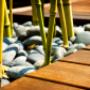 Hardscape vs. softscape
