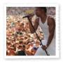 Concerts and Festivals