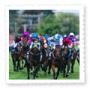 Horse Racing Carnivals