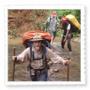 Trekking