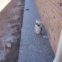 exposed aggregate concrete