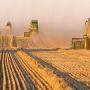 Ag Training