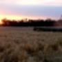 Ag Training