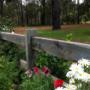 Wooden Fence