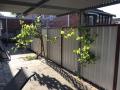Choosing Your Perth Fencing Contractor