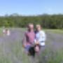 Our lavender farm