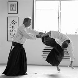 Aikido Of Shin Sen
