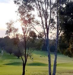 Goulburn Golf Club Ltd
